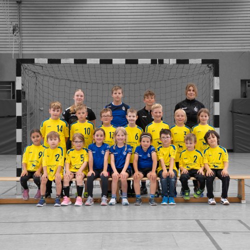 gemischte F Jugend - Saison 2025/2026